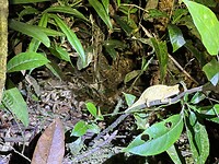 IMG_8168