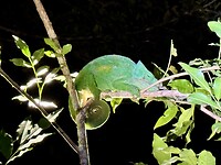 IMG_8166