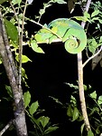 IMG_8164