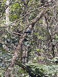 IMG_8286