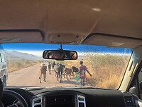 IMG_8500
