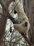 IMG_8662