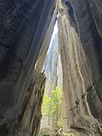 IMG_8798