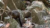 IMG_8719