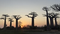 IMG_8938