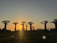 IMG_8896