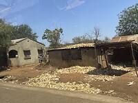 IMG_9036