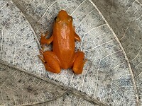IMG_8440