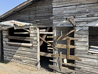 IMG_9110