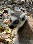 IMG_9199