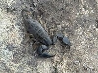IMG_9154