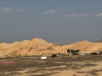 IMG_9113
