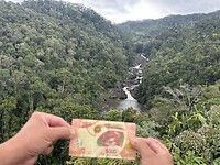 IMG_9626