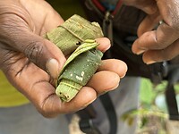 IMG_9725