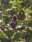 IMG_9661