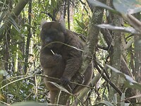 IMG_9706