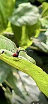 IMG_9726