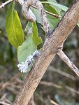 IMG_9381
