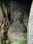 IMG_9761