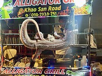 IMG_0682