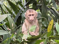 IMG_0898