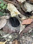 IMG_0907