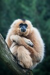 IMG_1058