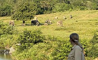 IMG_1362