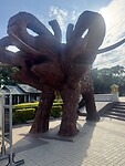 IMG_1497