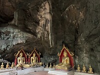 IMG_1445
