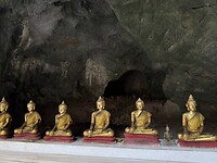 IMG_1422
