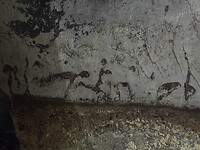 IMG_1654