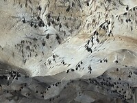 IMG_1650