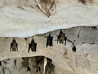 IMG_1649