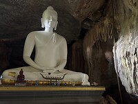 IMG_1647