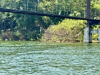 IMG_1637