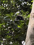 IMG_1616