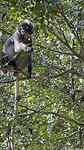 IMG_1608