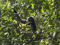 IMG_1596