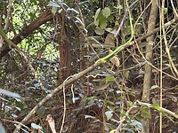 IMG_1582