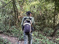 IMG_1556