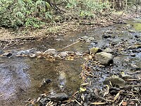 IMG_1555