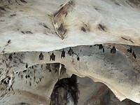 IMG_1648