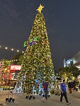 IMG_1777
