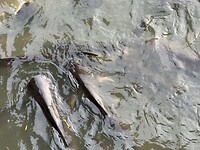 IMG_1757