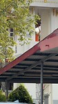 IMG_1744