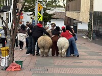 IMG_2263