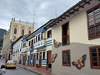 IMG_2260