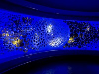 IMG_2584