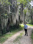 IMG_2805